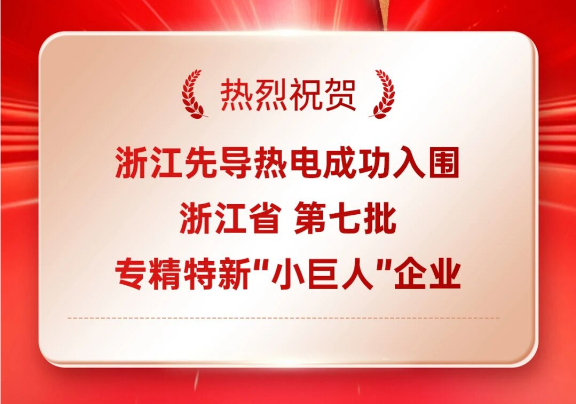 熱烈祝賀浙江先導(dǎo)熱電入圍浙江省第七批專精特新“小巨人”企業(yè)！